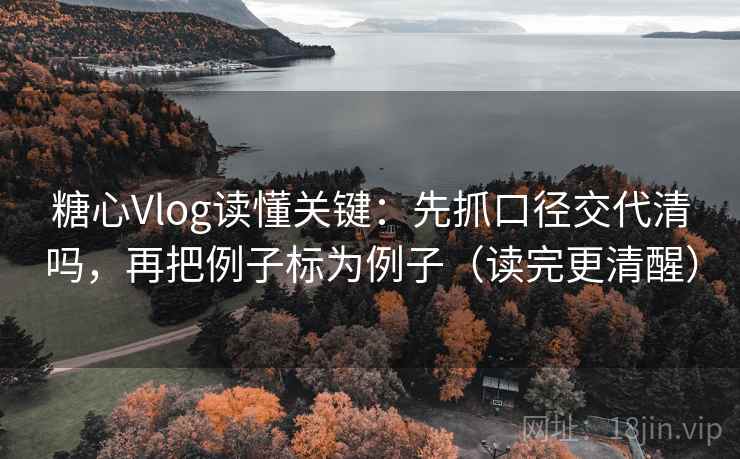 糖心Vlog读懂关键:先抓口径交代清吗,再把例子标为例子(读完更清醒) 第2张 糖心Vlog读懂关键:先抓口径交代清吗,再把例子标为例子(读完更清醒) 第2张